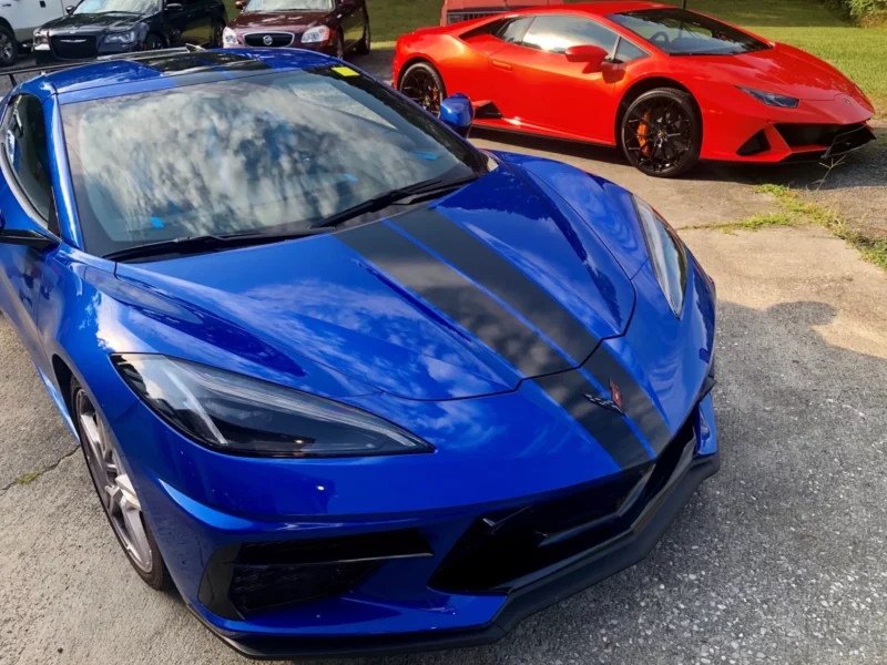 Fat Cat Customs Film Protection Gallery