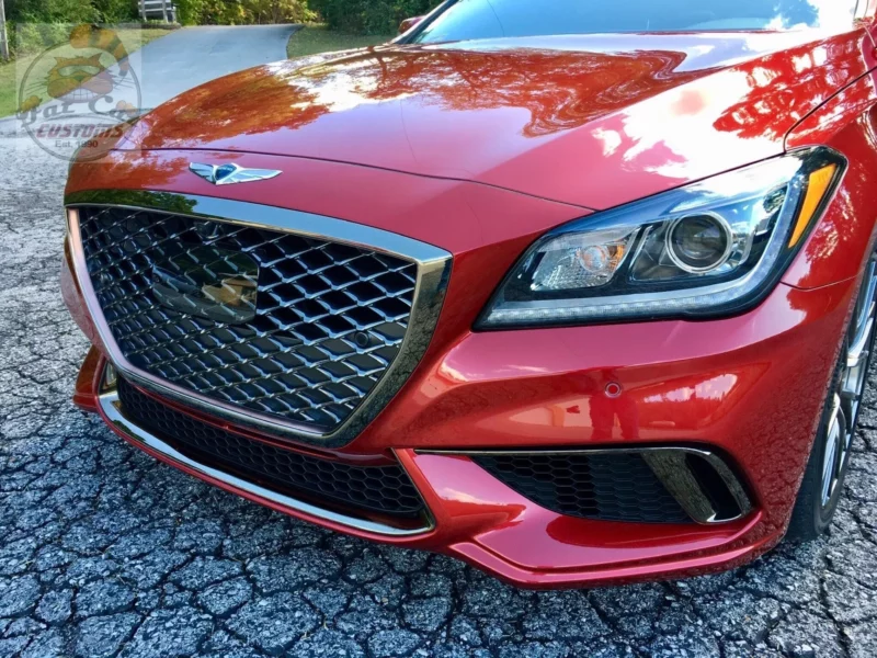 Fat Cat Customs Film Protection Gallery