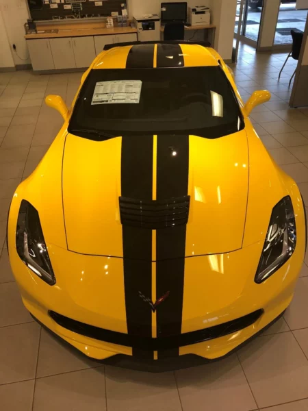 Fat Cat Customs Film Protection Gallery