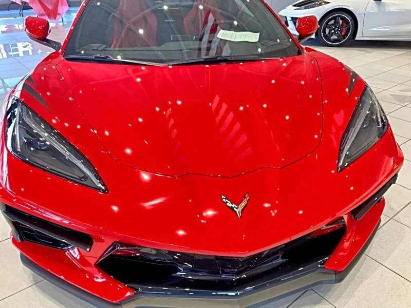 Fat Cat Customs Film Protection Gallery