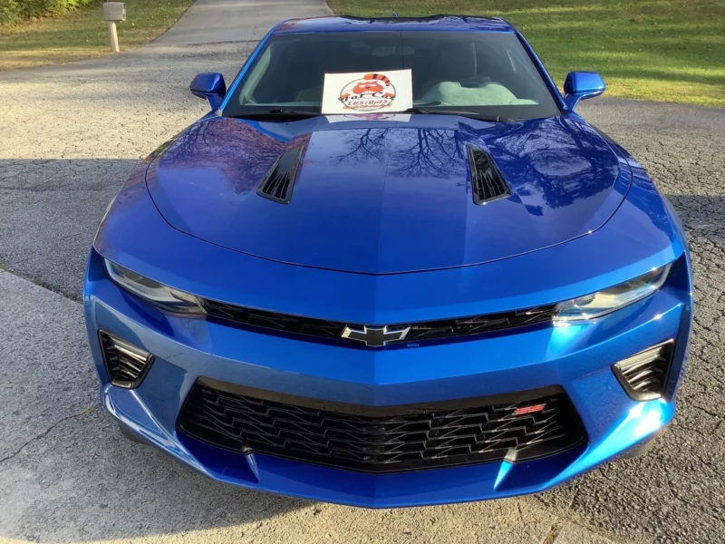 Fat Cat Customs Film Protection Gallery